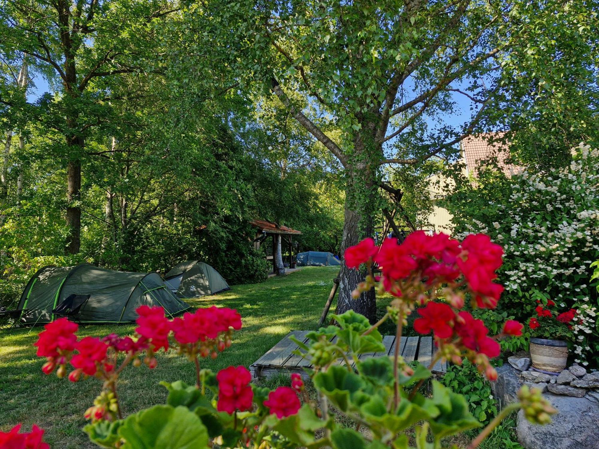Piibelehe Guest Accommodation Kuressaare Kültér fotó